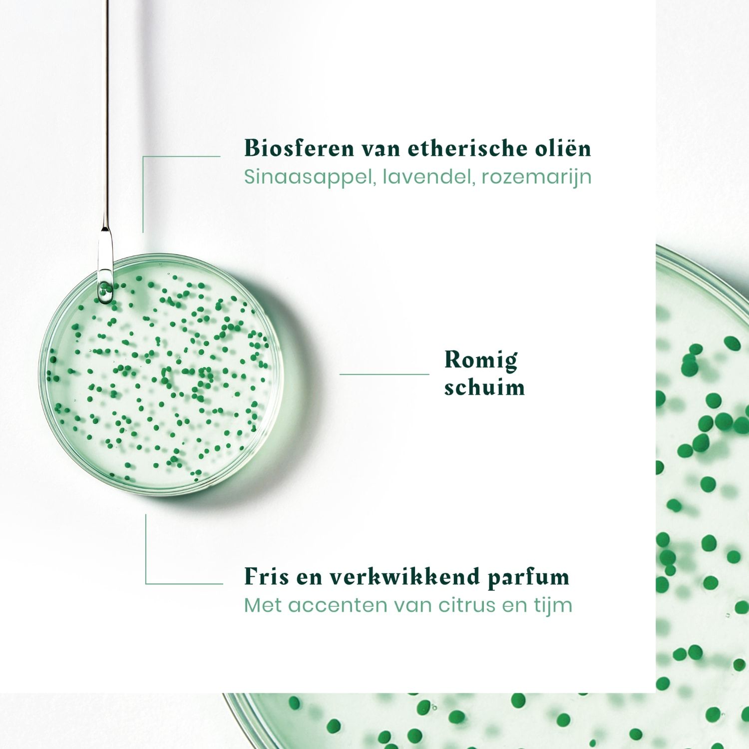 René Furterer Forticea posilňujúci a revitalizačný šampón - 50 ml