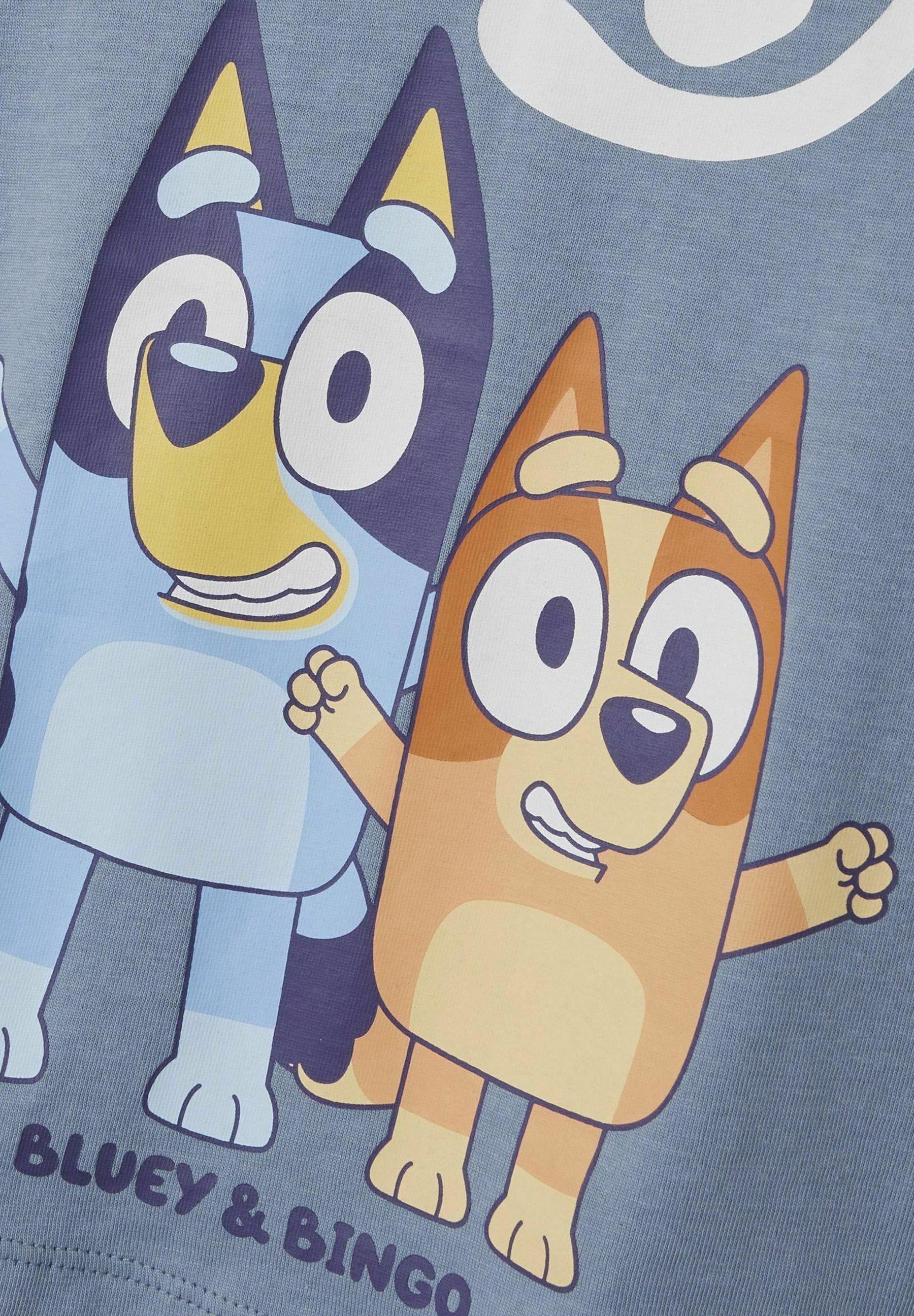 TWO SOON BLUEY - Haut à manches longues - denim délavé