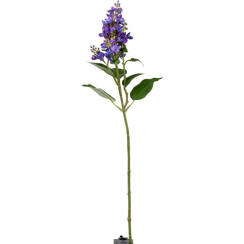 Hjem Syren stilk 53 cm