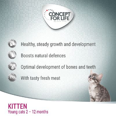Concept for Life -kissanpentu