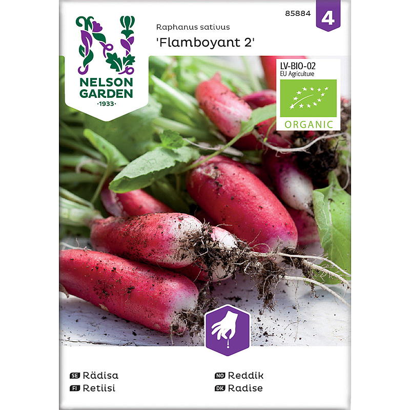 Radis Flamboyant 2 de Nelson Garden Seeds, bio