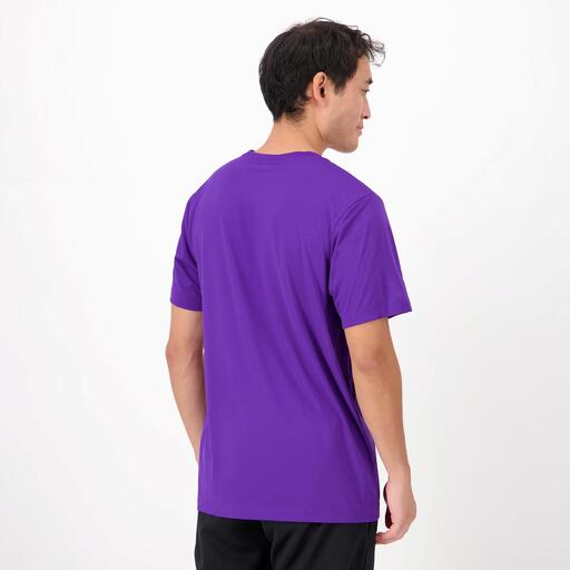  Nike Lakers