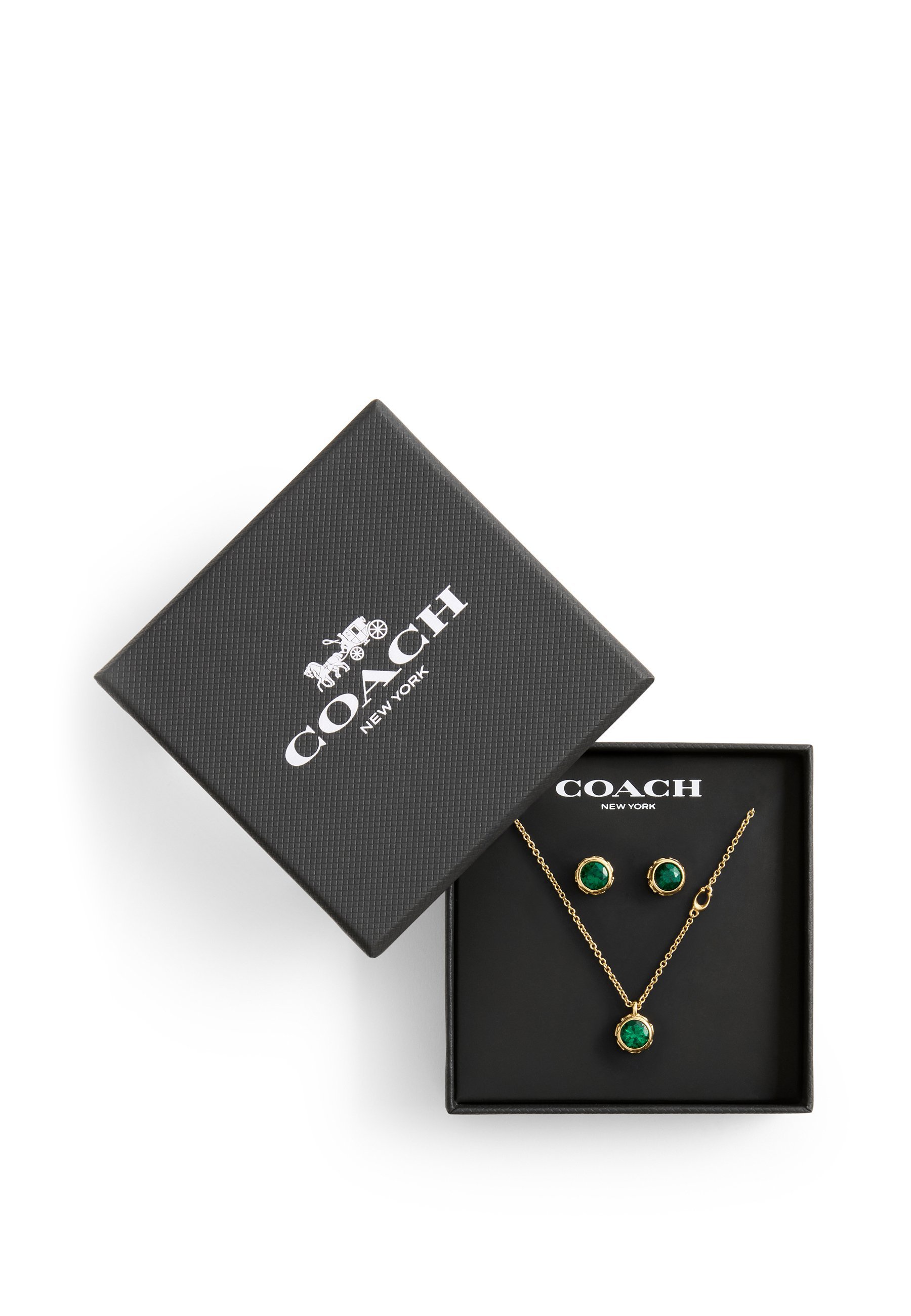 COACH SET - Ohrringe - grün