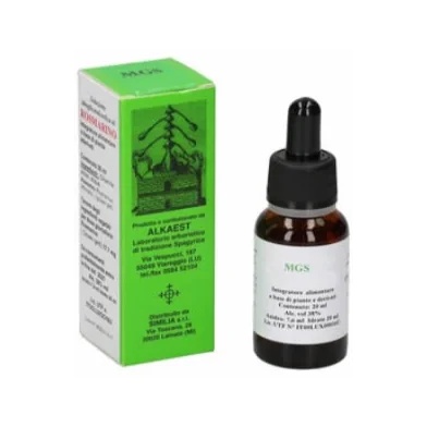 Mgs9 Paardenkastanje MgSpg 20 ml