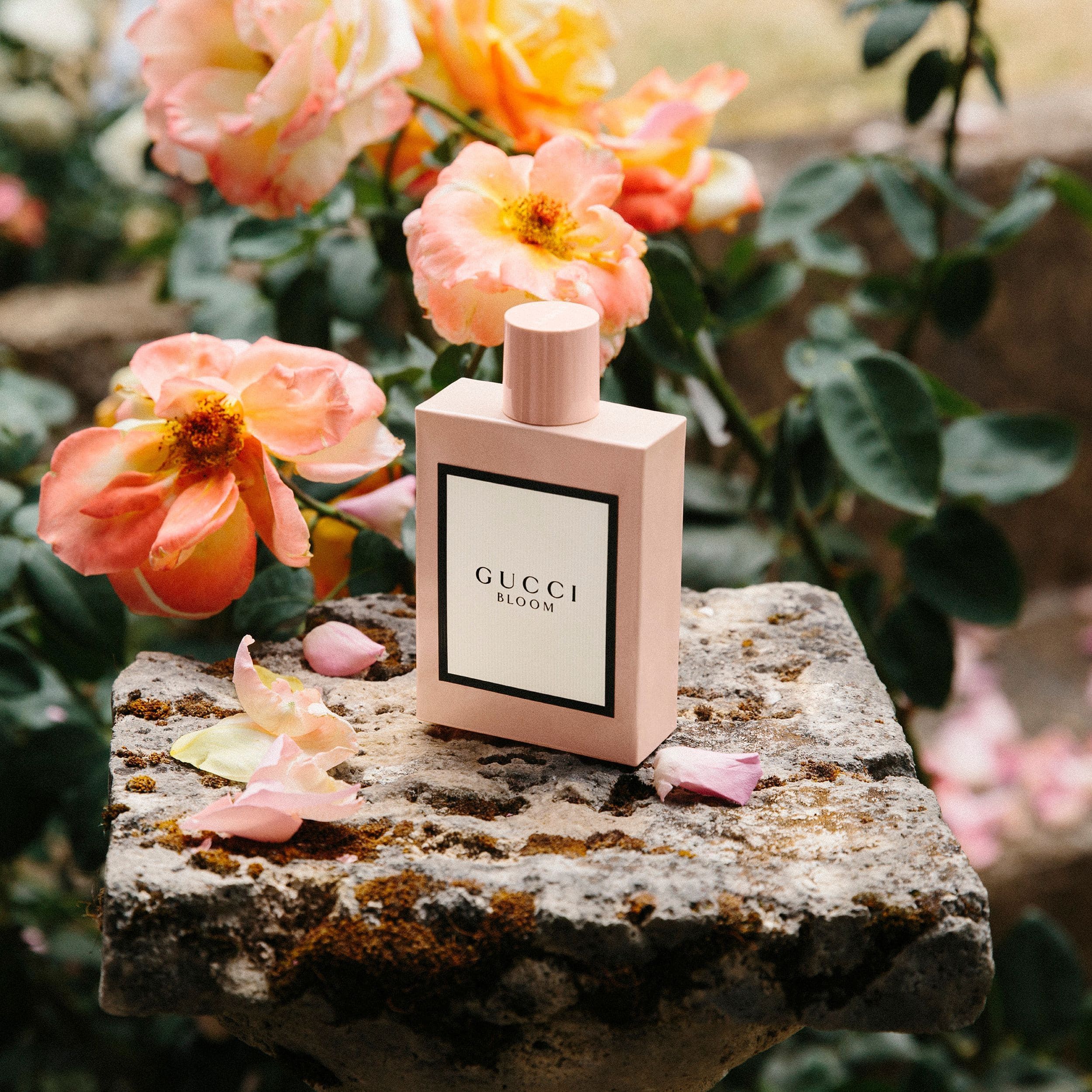 Bloom EDP Ženski parfemi