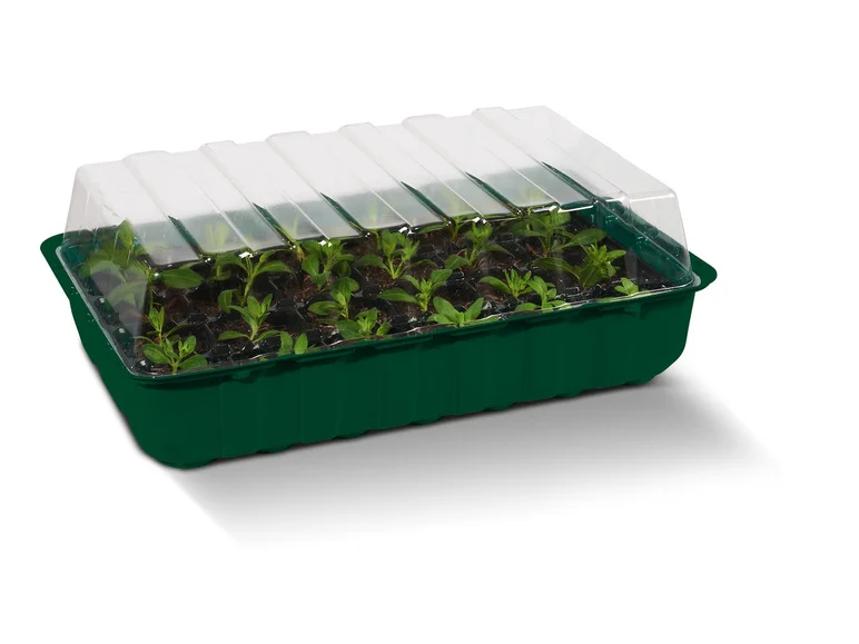 Conjunto de Pães Cultivados PARKSIDE®, 4 Peças