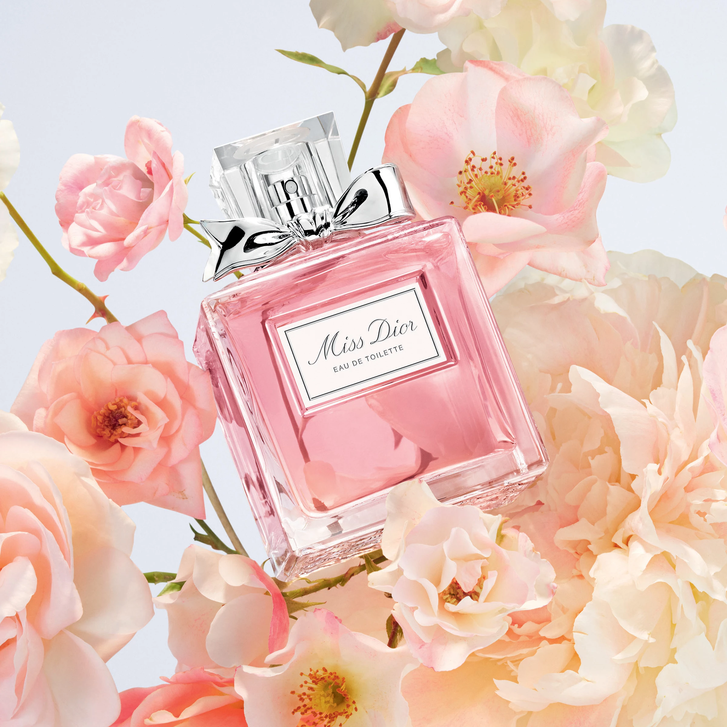Dior Miss Dior EDT 50 ml - DIOR