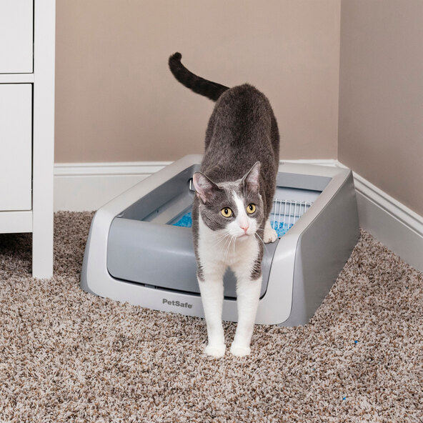 ScoopFree self-cleaning cat litter box