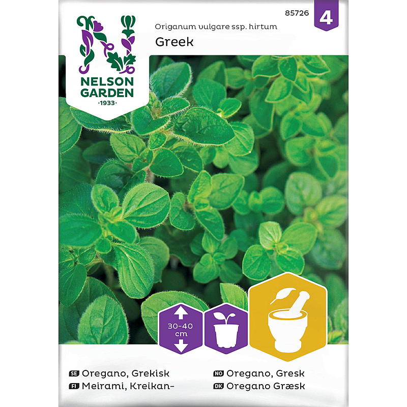 Semillas de orégano griego para jardín Nelson
