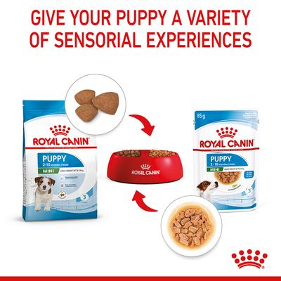 Royal Canin Mini Puppy mártásban