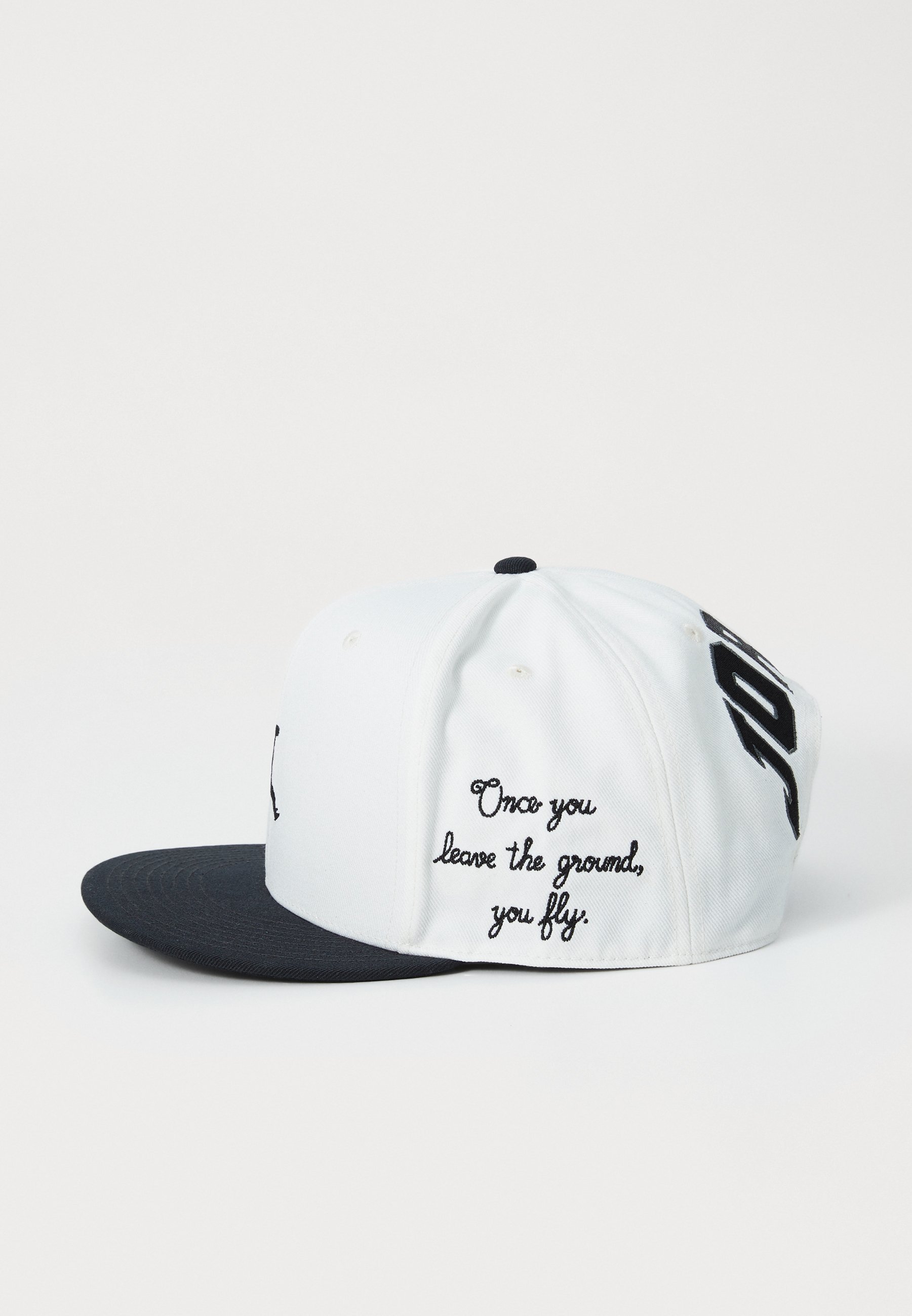 Casquette Jordan PRO - Voile/Noir