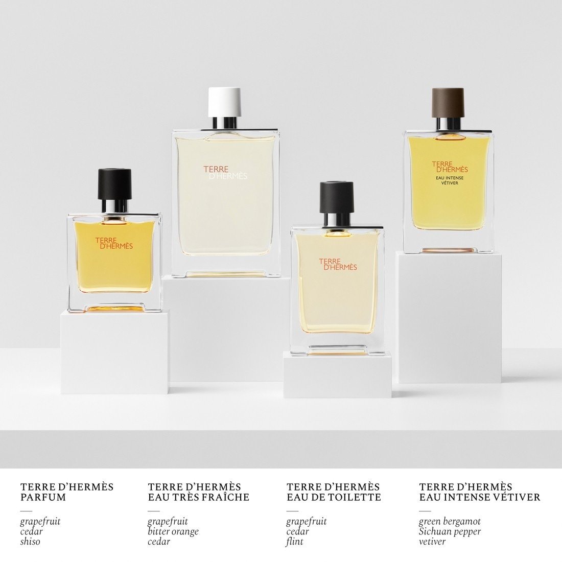 HERMÈS Terre d'Hermès Eau Intense Vétiver parfemska voda - 50 ml