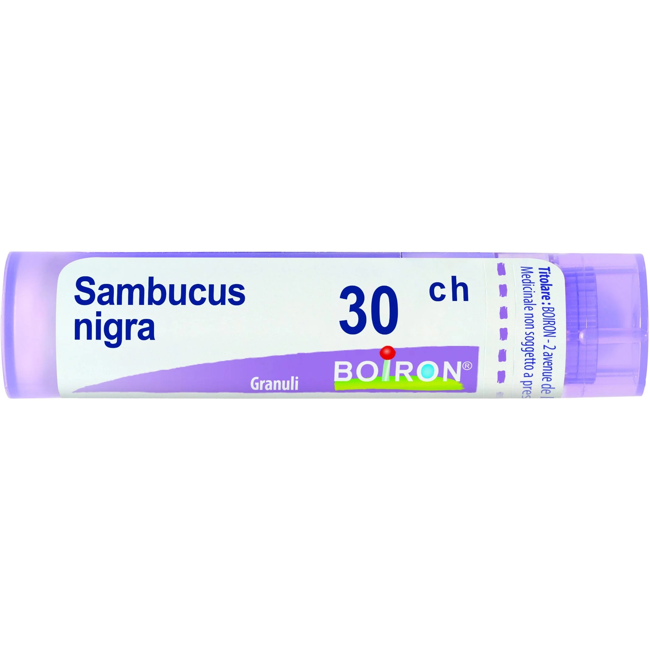 BOIRON Sambucus NiGra 30 Ch 80 Gr 4 G