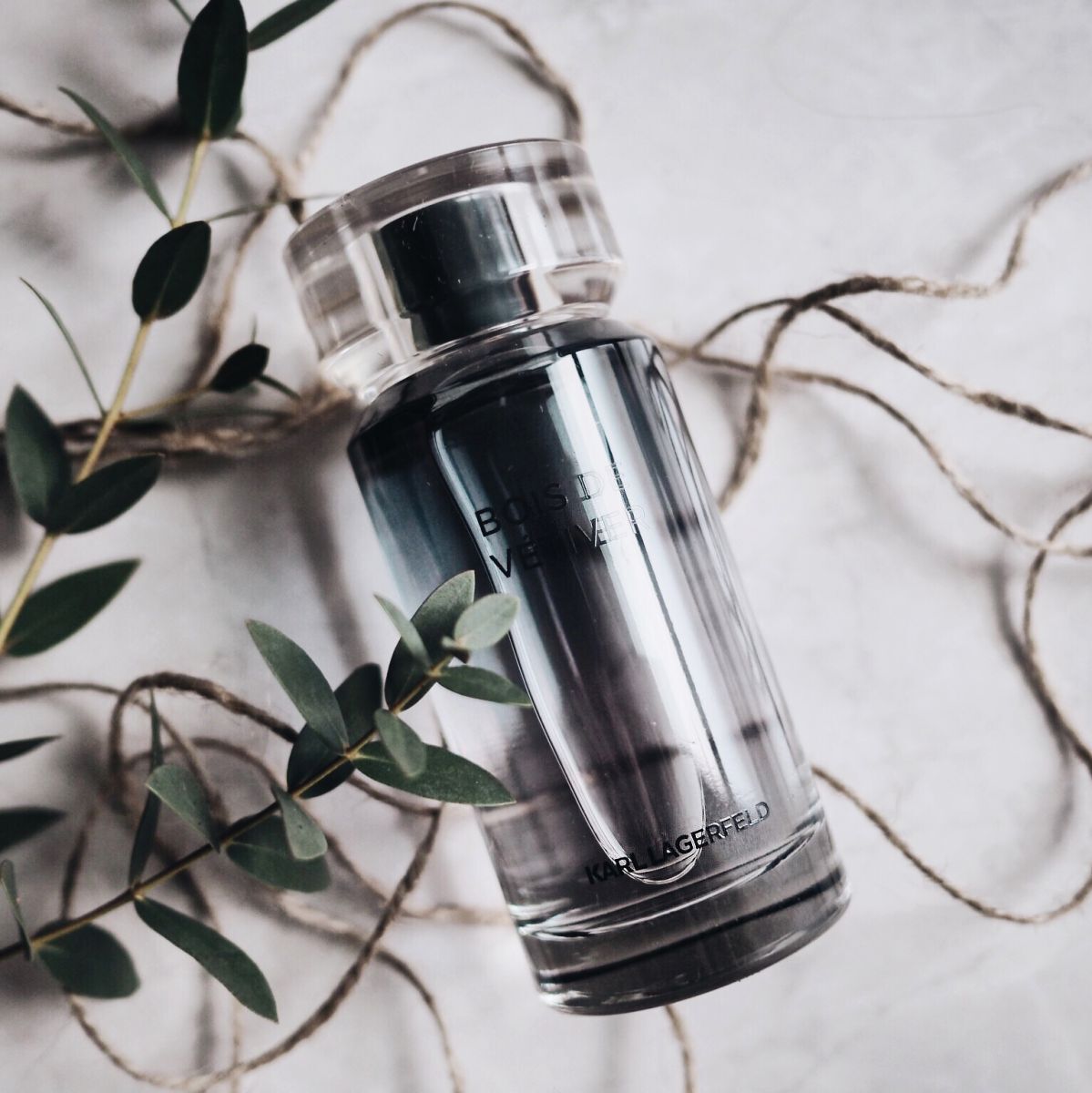 Karl Lagerfeld Eau de Toilette za muškarce 100 ml Bois De Vetiver