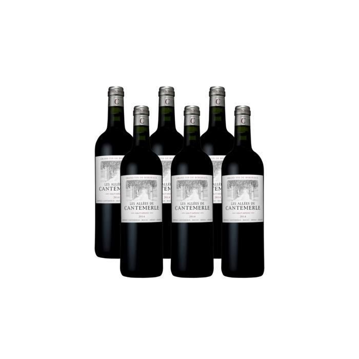 LES ALLEES DE CANTEMERLE 2014 - HAUT MEDOC - VINO TINTO - LOTE DE 6 X 75CL
