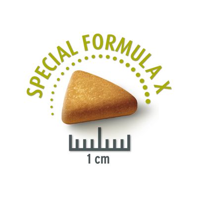 Concept voor het leven Mini gesteriliseerd