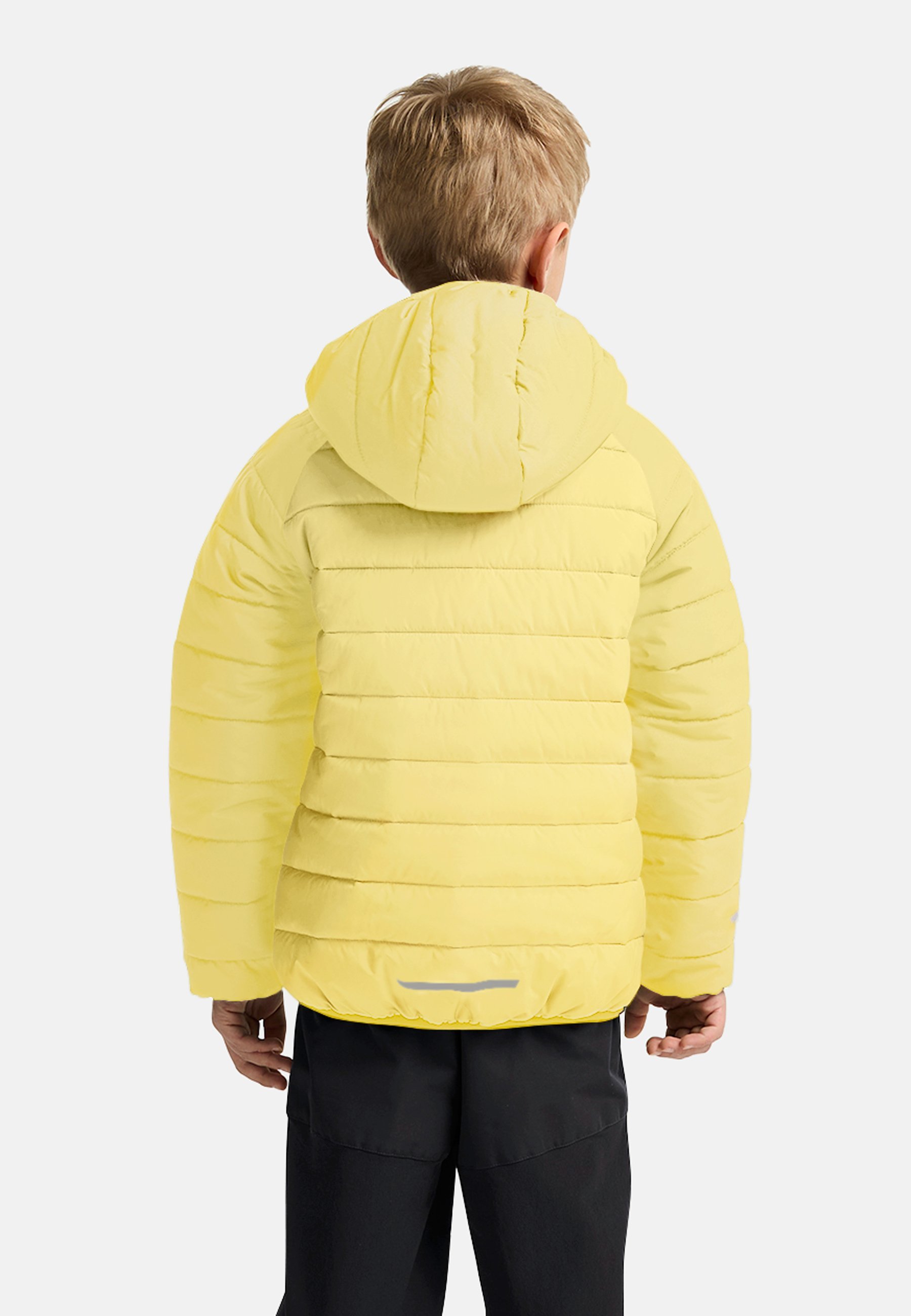 Jack Wolfskin NEW ZENON - Ski-jas - citroenijs