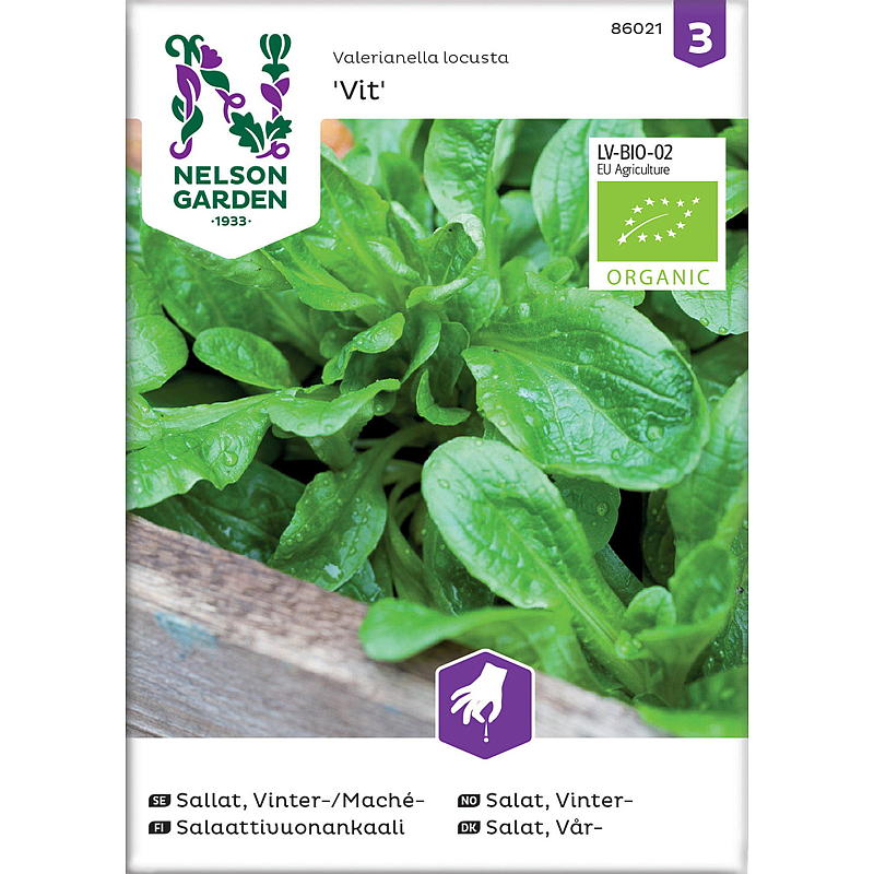 Nelson Garden Seeds Wintersalat, Weiß, Bio