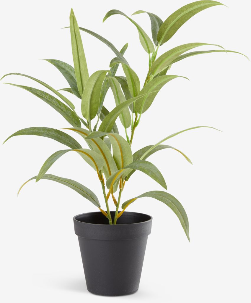 LARSSON Umetna rastlina LARSSON Ø11xV43cm zelena