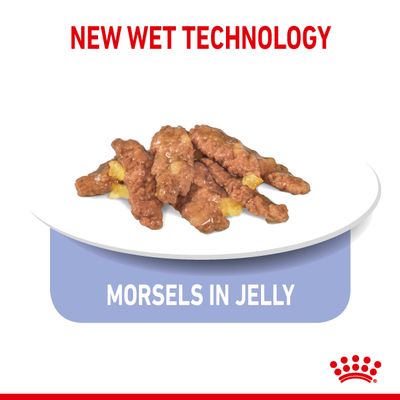 Royal Canin Indoor Sterilised 7+ in Jelly