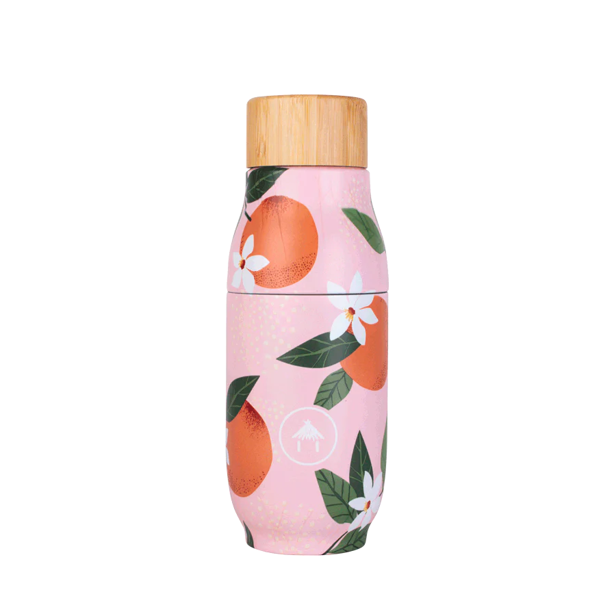 Gourde 500ml Biwa
