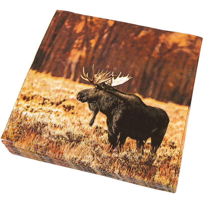 Vie Eco -lautasliinat 20 kpl 33x33 cm, Syksy