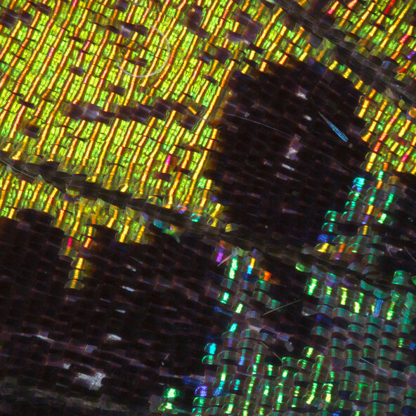 Microscop digital USB DST-1028, 5,1 MP