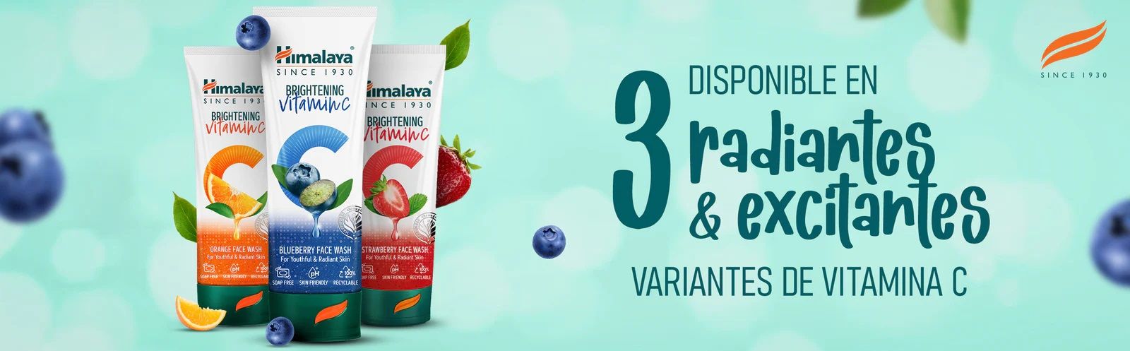 Čistač za lice s vitaminom C i borovnicom Čistič za lice iz ljekarne