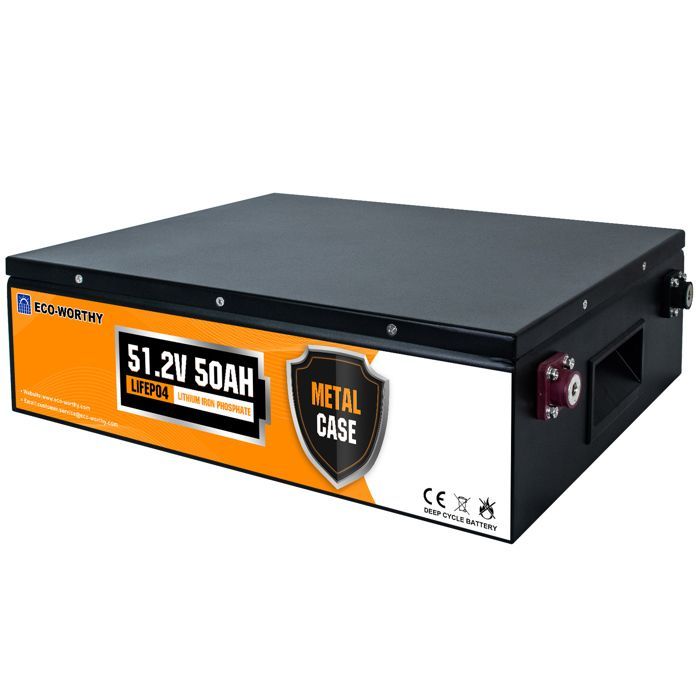 ECO-WORTHY Batterie Lithium LiFePO4 48V 50AH,Batterie Vehicule, protection BMS pour système solaire,camping-car,bateau