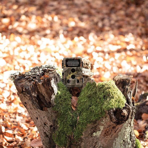 Cameră de monitorizare a vieții sălbatice WK-400HDW, camouflage