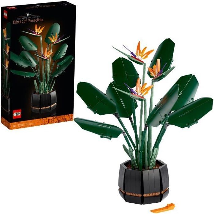 LEGO® Icons 10289 L’Oiseau de Paradis, Fleurs Décoratives, Maquette Botanical Collection, Construction Plantes, pour Adultes