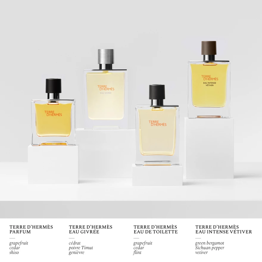 Terre d'Hermès Eau Givrée dopuna za parfemsku vodu 125 ml - HERMÈS