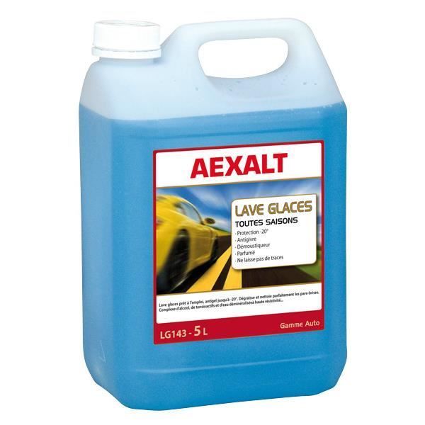 Lave glace 5 en 1 toutes saisons 5L