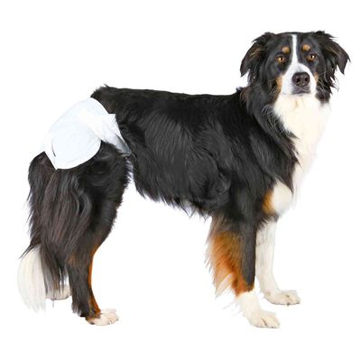 Trixie Nappies for Female Dogs