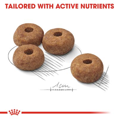 Royal Canin Medium Gesteriliseerd