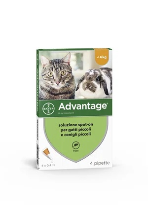 ADVANTIX Advantage Spot-On pour chats/lapins 4 x 40 mg | 4 x 0,4 ml