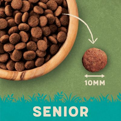 Ração Harringtons para Gatos Seniores com Frango Fresco