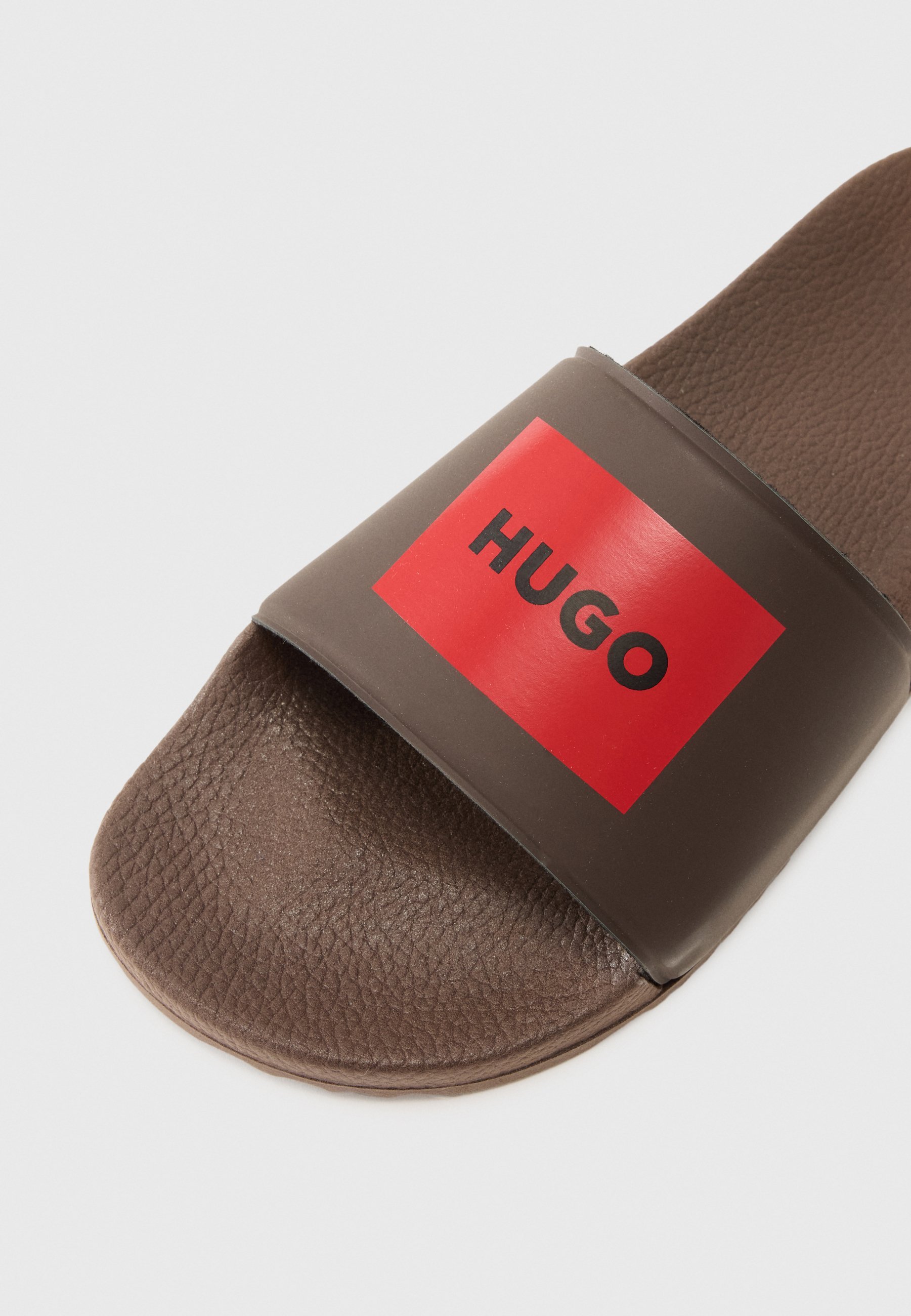 HUGO TIMEIN - Baseino kalneliai - rudi