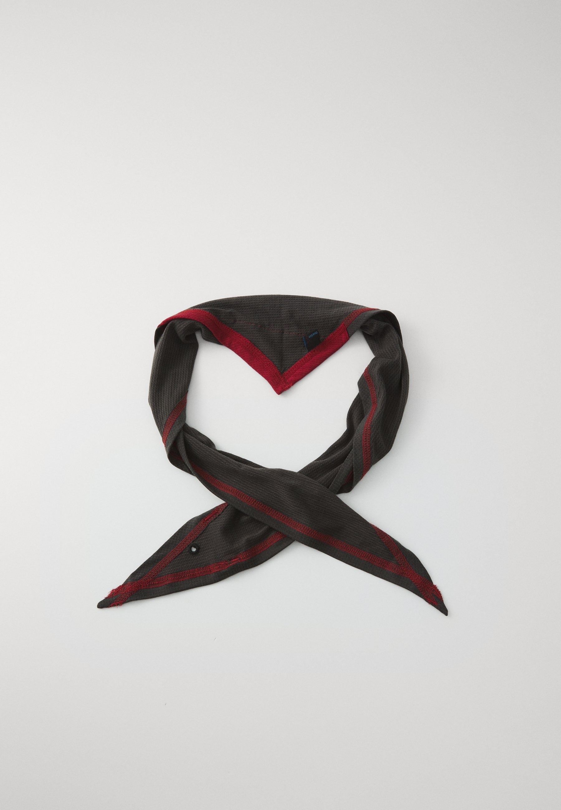 Klättermusen ALLVIS SCARF UNISEX - Foulard - raven