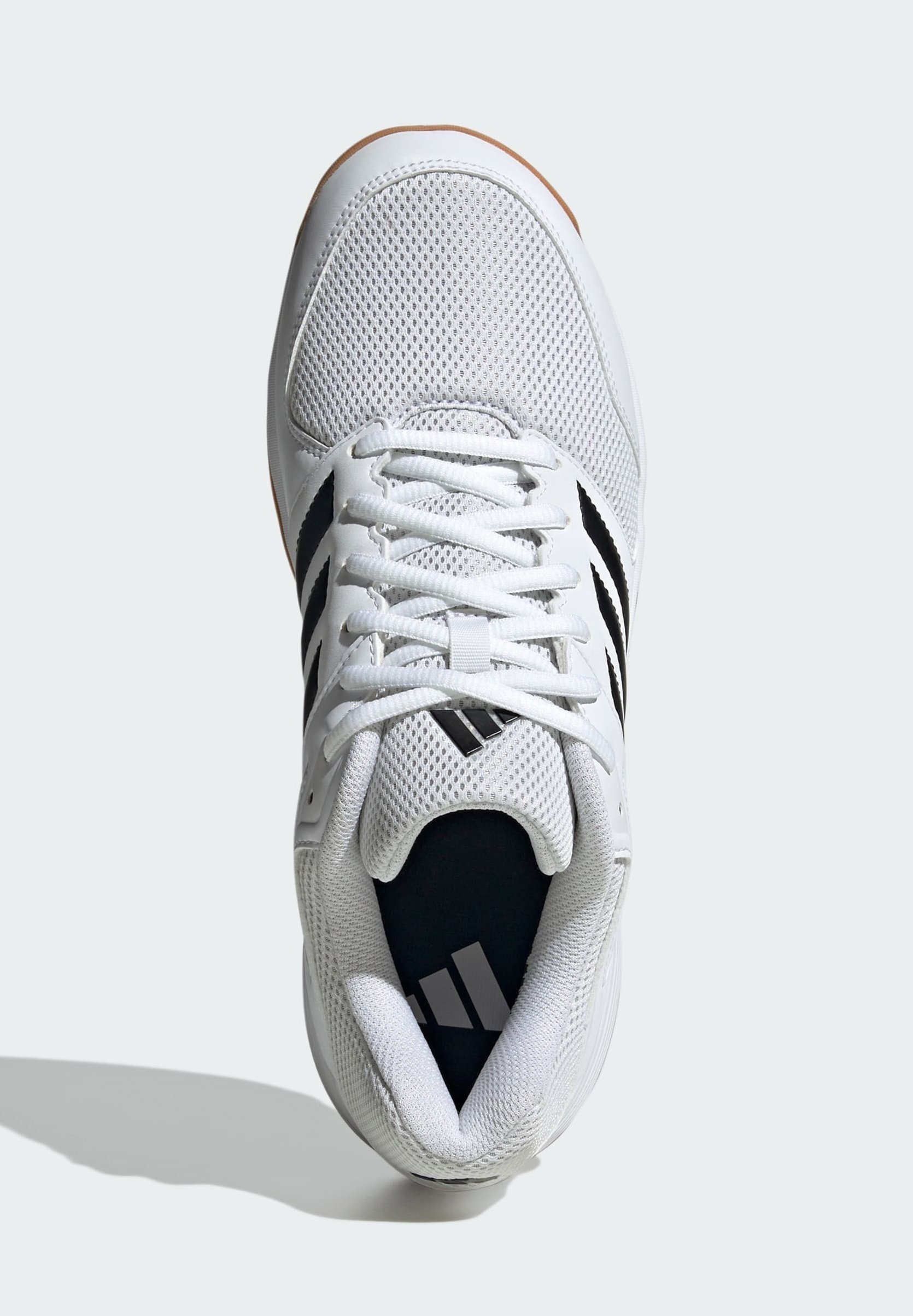 adidas Performance SPEEDCOURT INDOOR - Trainingsschoen - Cloud White Core Black Gum