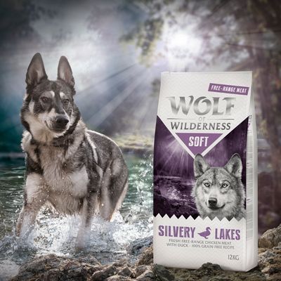 Wolf of Wilderness Soft „Silvery Lakes“ – Freilandhuhn mit Ente