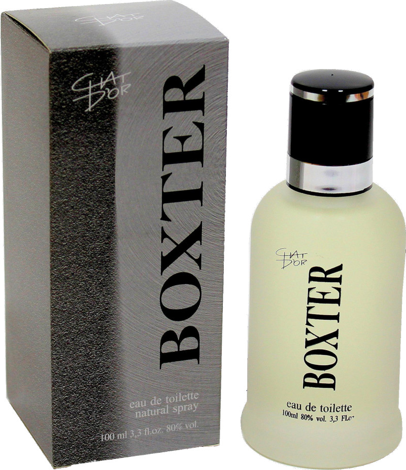 Chat d'or Boxter