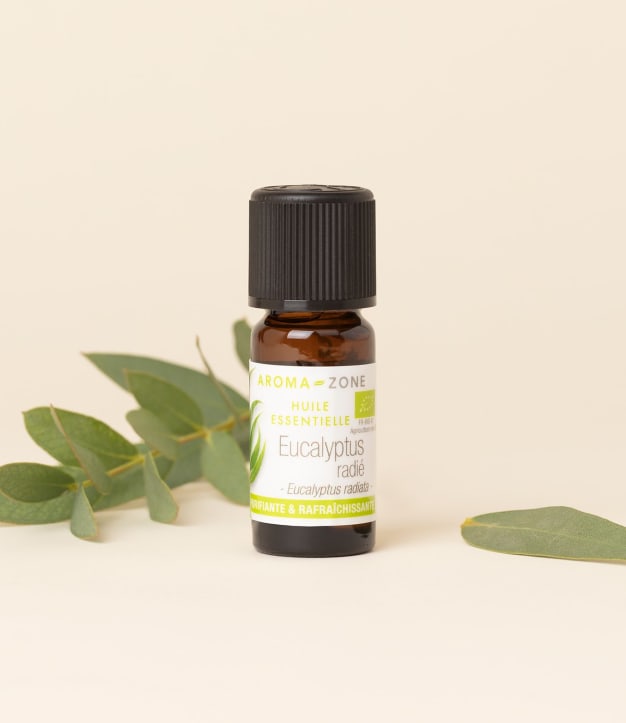 Huile essentielle Eucalyptus radié BIO 10ml
