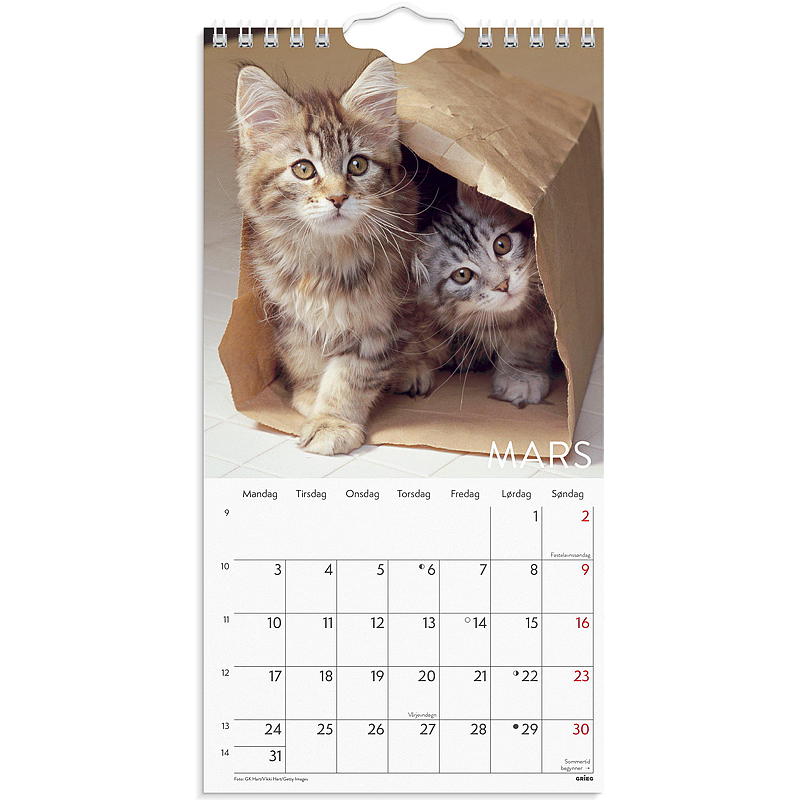 Väggkalender katter mini 2025