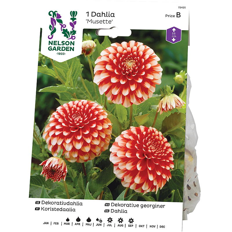 Jardin Nelson Georgine Low décor Musette, rouge/blanc