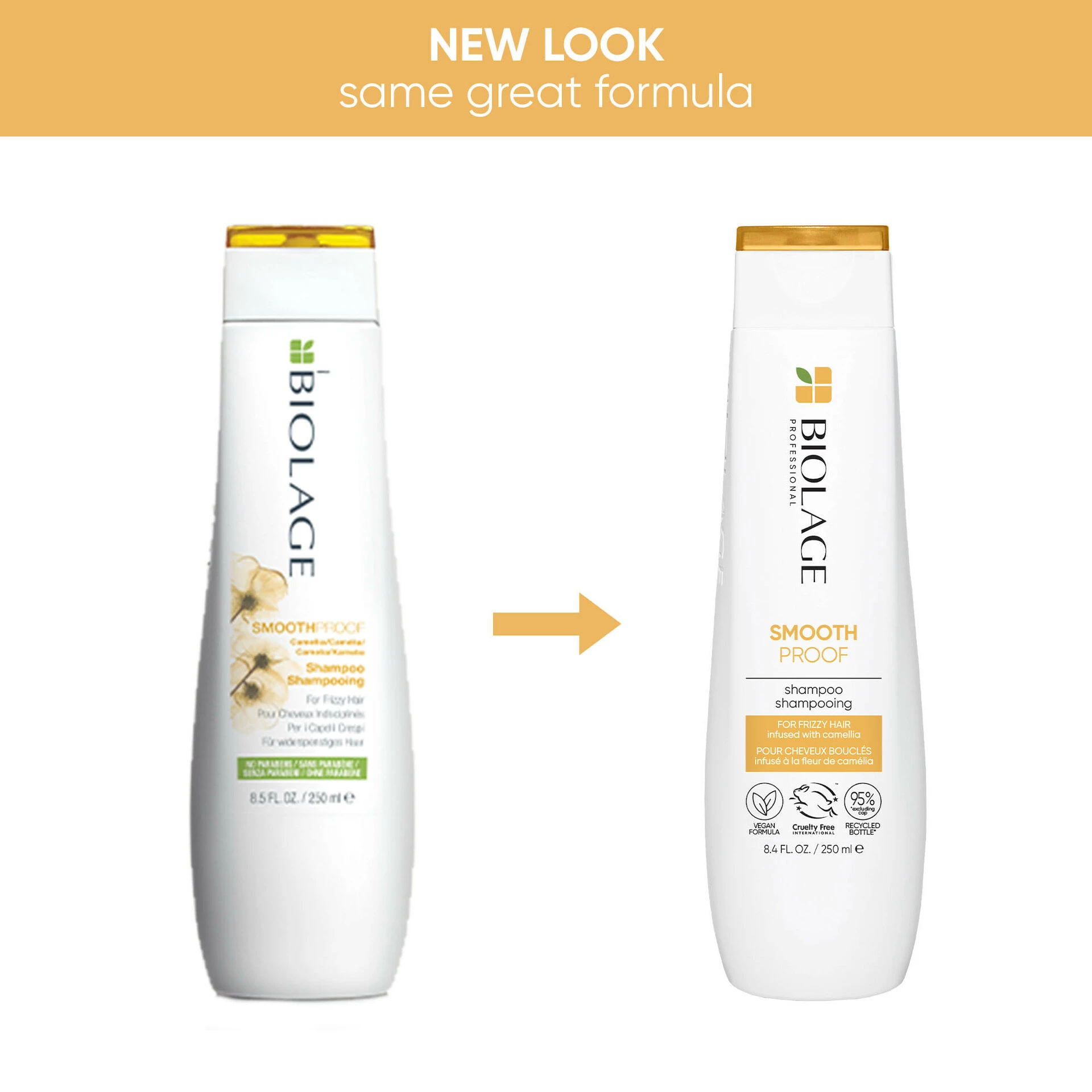 SmoothProof šampon 250 ml - Biolage