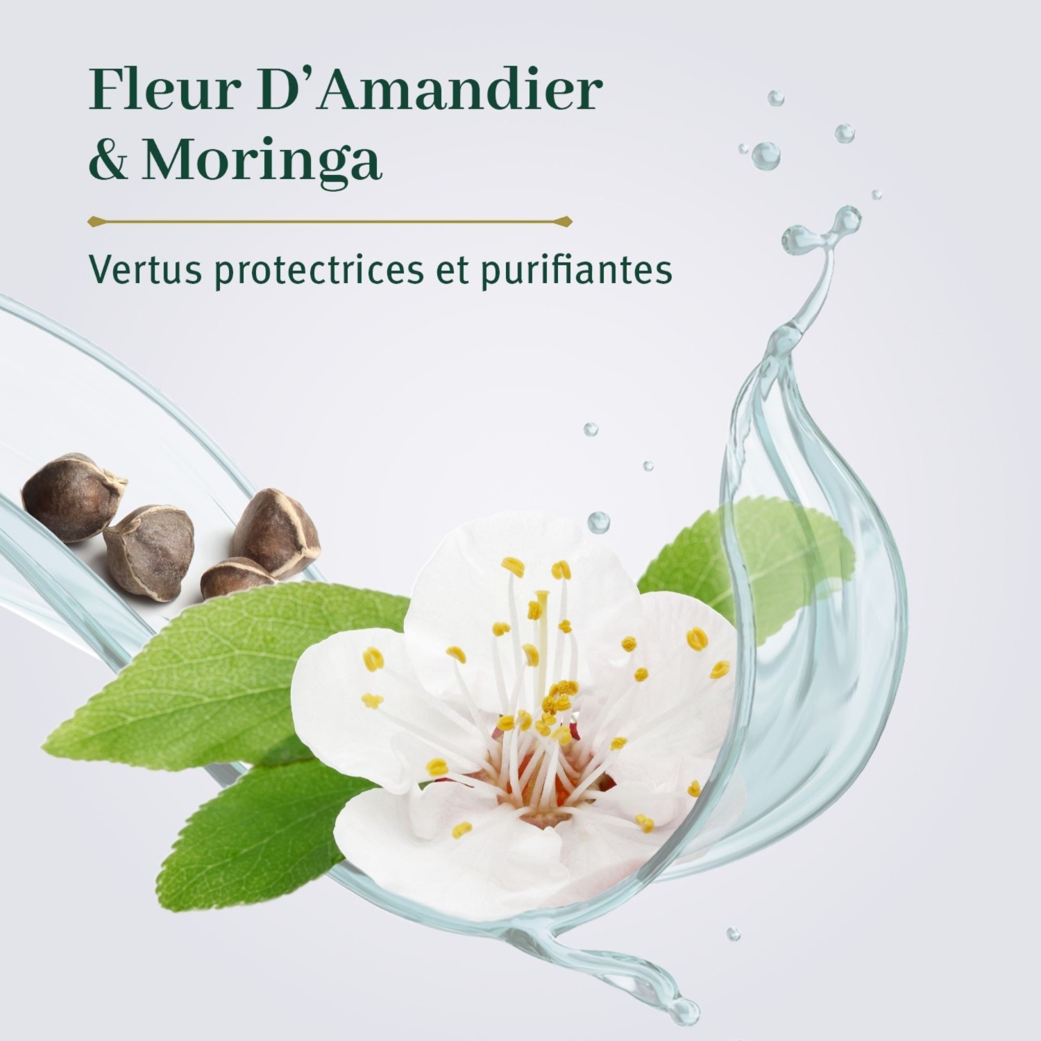 Le Petit Olivier Gel-Crème de Jour Hydratant Détox & Anti-Pollution Fleur d'Amandier & Moringa
