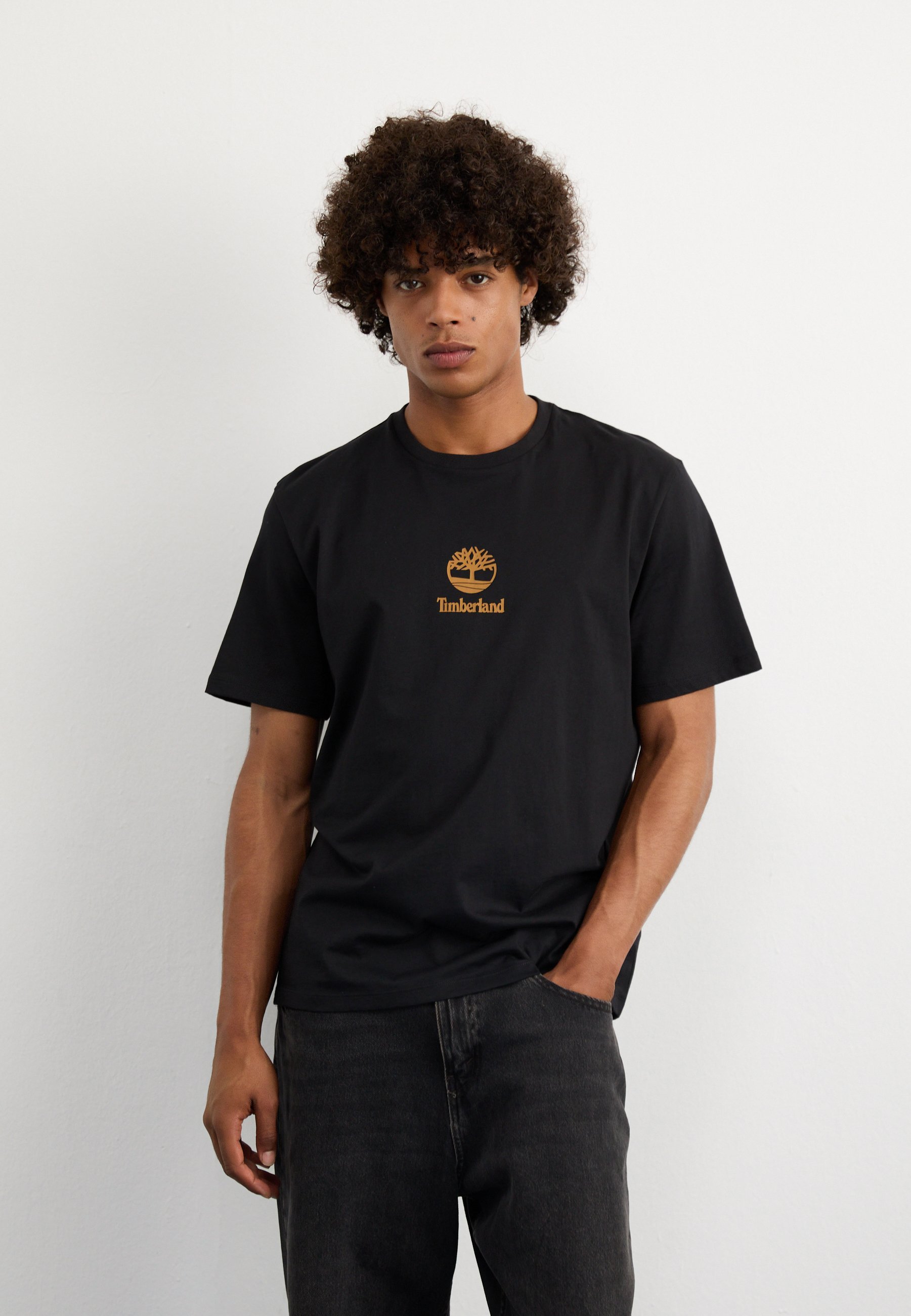 Timberland T-shirt met klein logo en citroenpeperprint - T-shirt met print - zwart