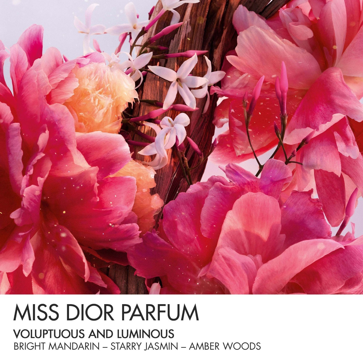 DIOR Parfum Miss Mini Miss - 3,2 g