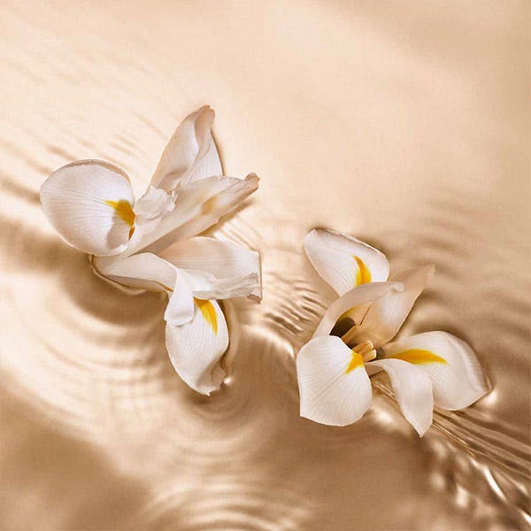 Iris Crush | 125 ml